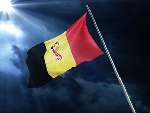 排球赛场焦点！英格兰队对阵俄罗斯队，强强对话引爆全球球迷关注